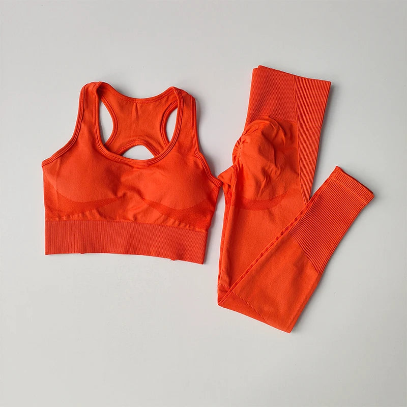2PCS Sports Bra Women's Set Professional Fitness Tank Top Bra Shockproof